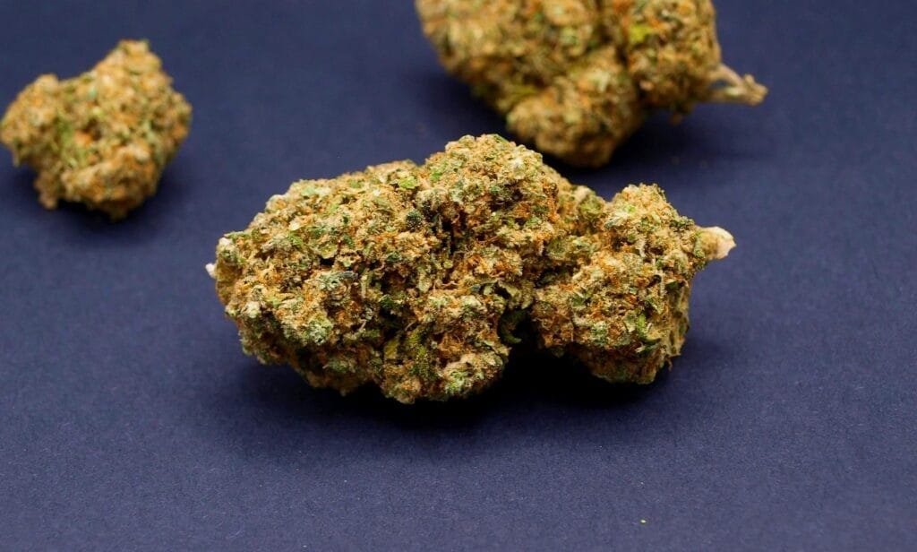 white critical cbd