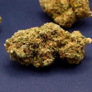 white critical cbd
