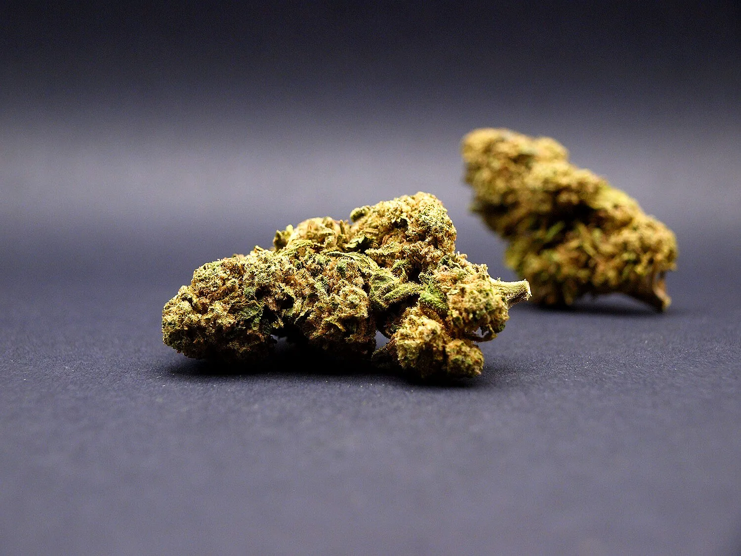 Fleur Zkittlez CBD Greenhouse cultivée en Italie