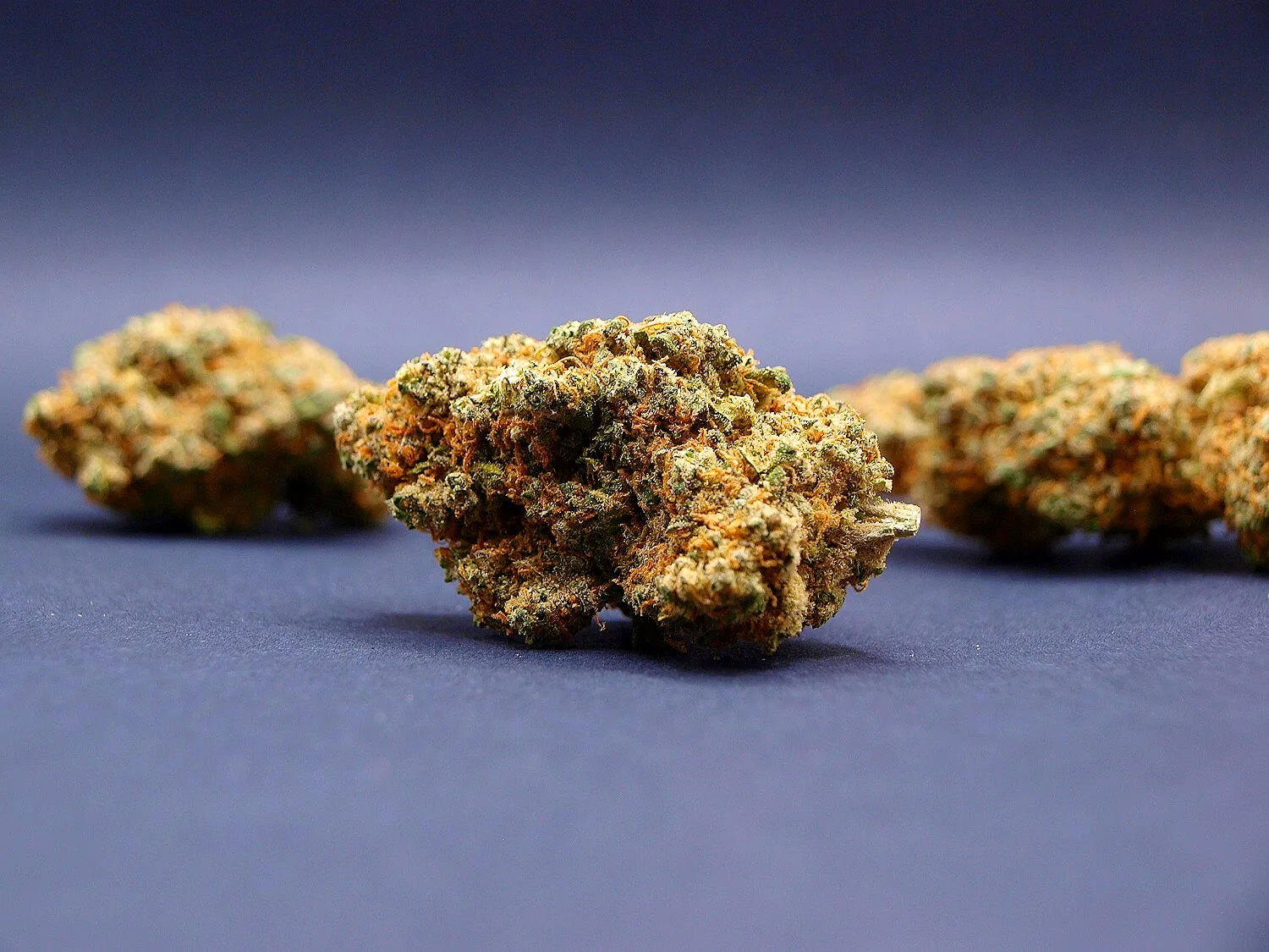 Fleur Banana Dream CBD Indoor Premium cultivée en Suisse