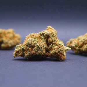 blueberry muffin cbd