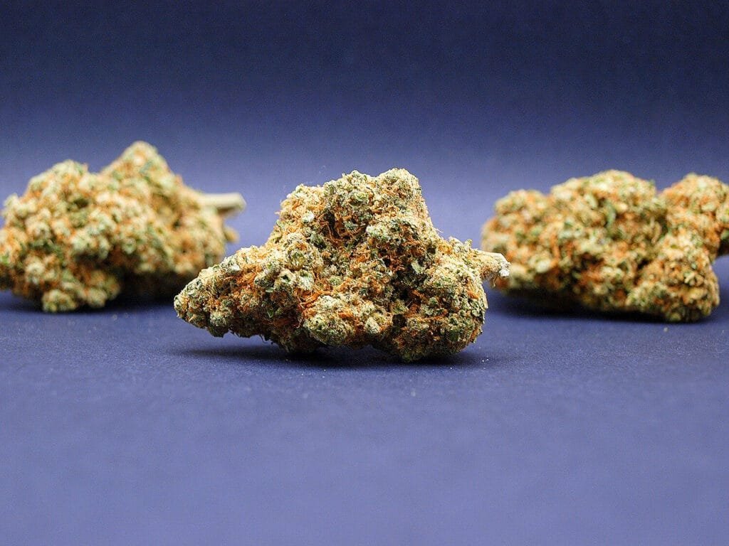gorilla glue cbd