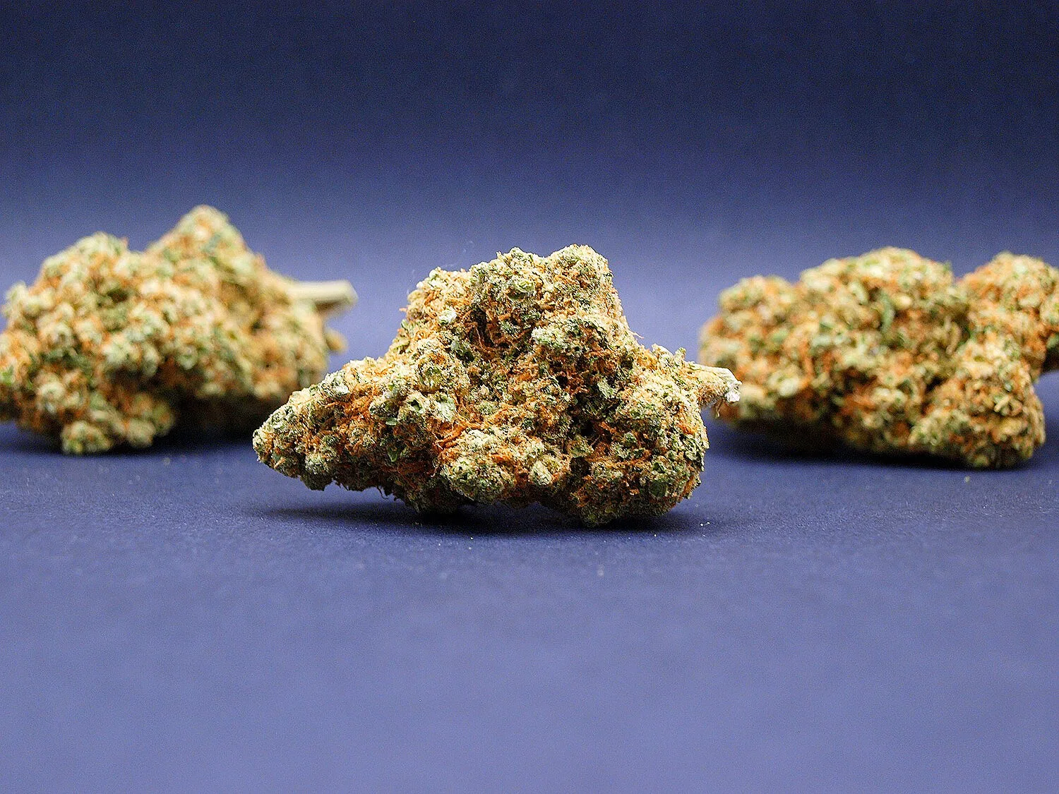 Fleur Gorilla Glue US CBD Hydro Premium cultivée en Suisse