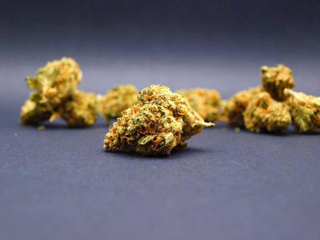 Small Buds / Ice Cream Cake CBD | Indoor Premium | Suisse