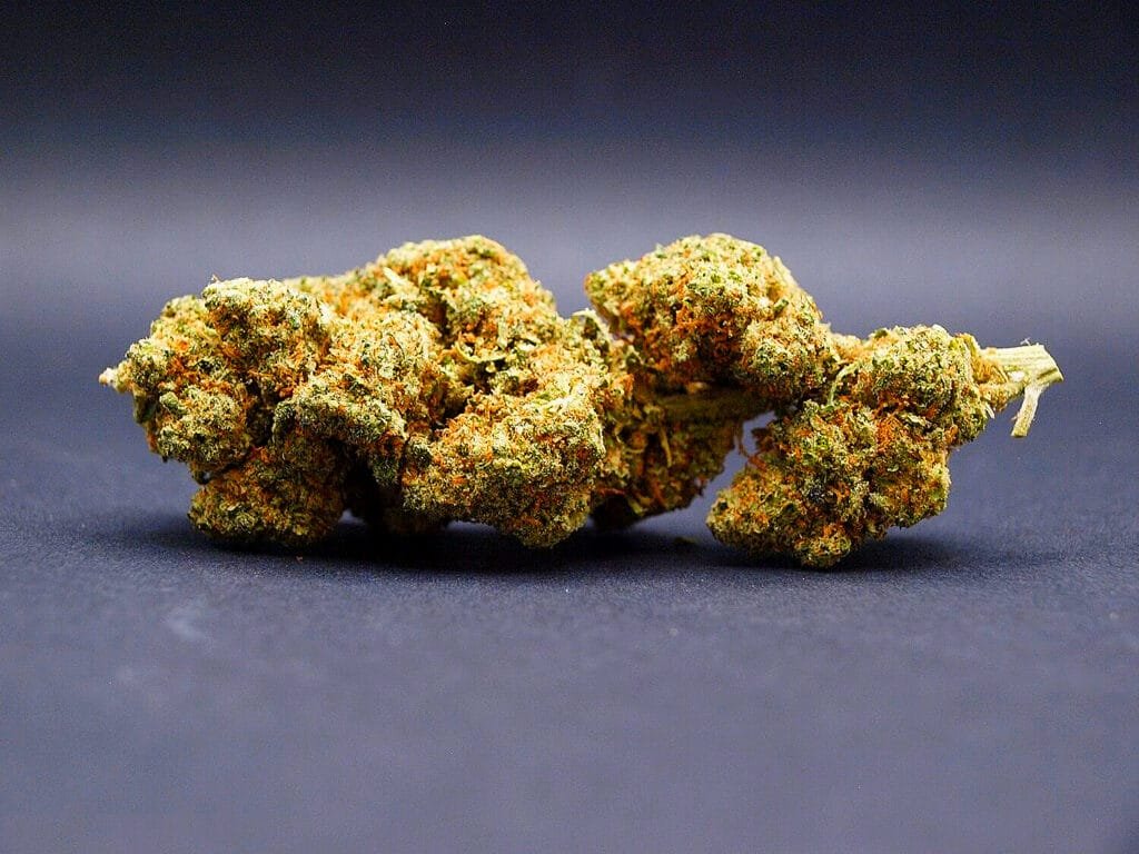 lemon meringue cbd