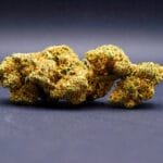 lemon meringue cbd