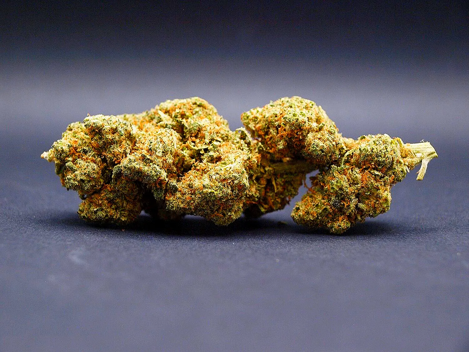 Fleur de Lemon Meringue CBD Hydro Premium cultivée en Suisse