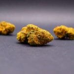strawberry kush cbd