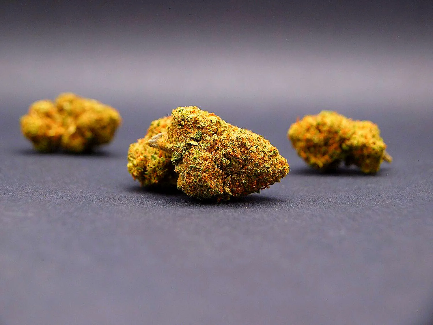 Fleur Strawberry Kush CBD Glasshouse cultivée en Italie