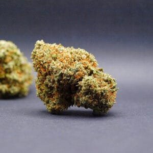 Fleur AK47 CBD Indoor Premium cultivée en Suisse