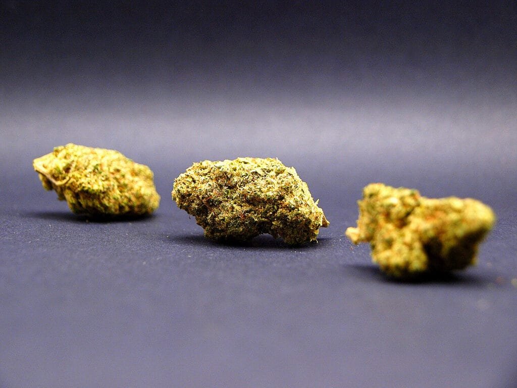 Small Buds CBD - Monster Cookie | Indoor Premium | Suisse