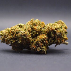 Amnesia Haze CBD | Greenhouse | Italie