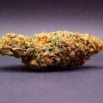 fleur CBD de la variété Bubble Mint CBD inssue d'une culture Hybrid Indoor aux USA