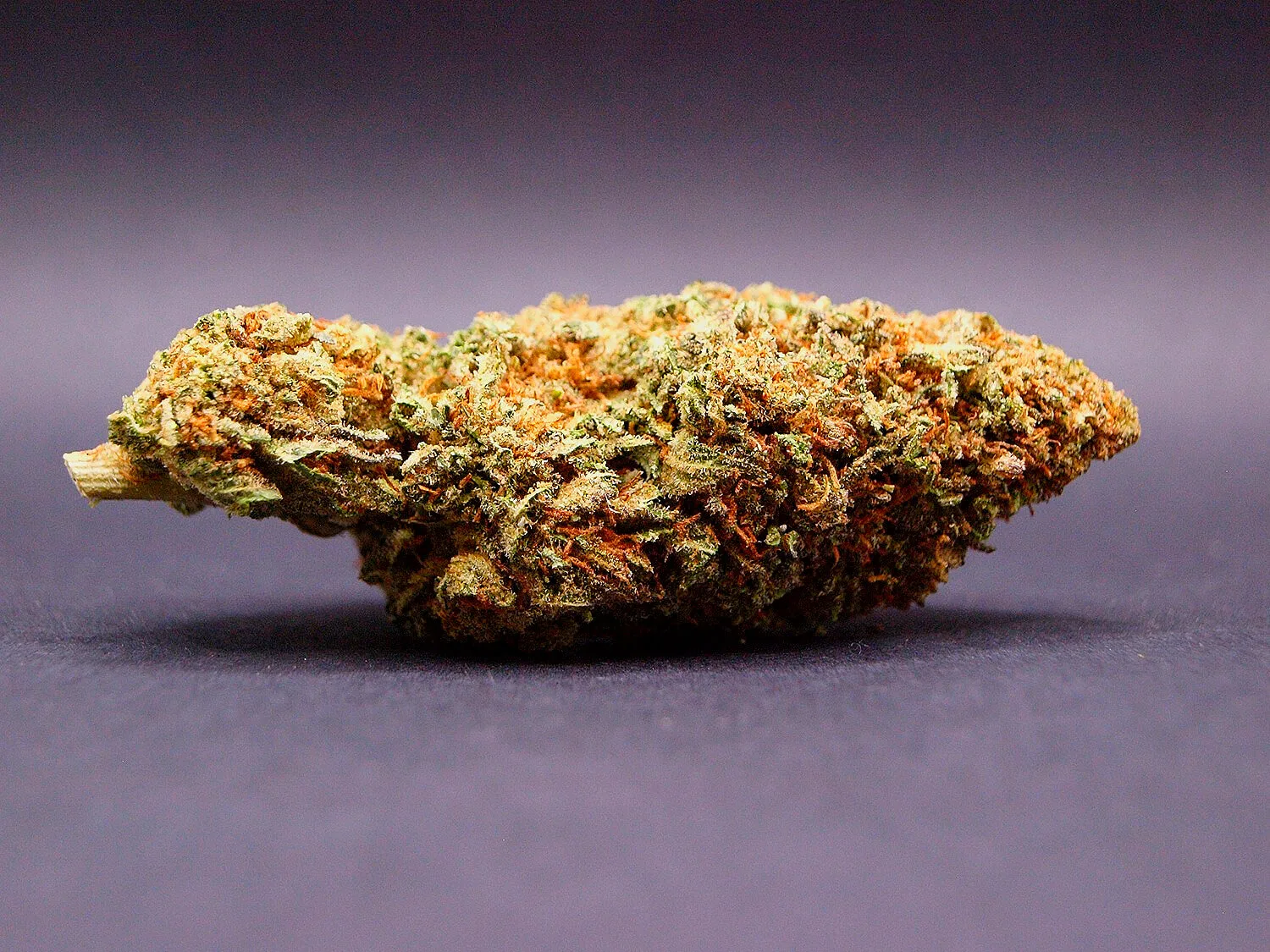 fleur CBD de la variété Bubble Mint CBD inssue d'une culture Hybrid Indoor aux USA