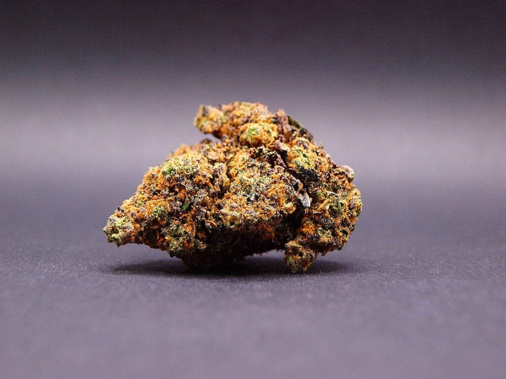 fleur CBD de la variété Purple Lemonade cultivée en Hydroponie