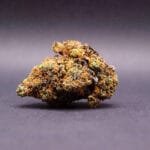 fleur CBD de la variété Purple Lemonade cultivée en Hydroponie