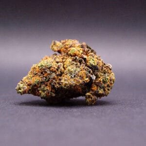 fleur CBD de la variété Purple Lemonade cultivée en Hydroponie