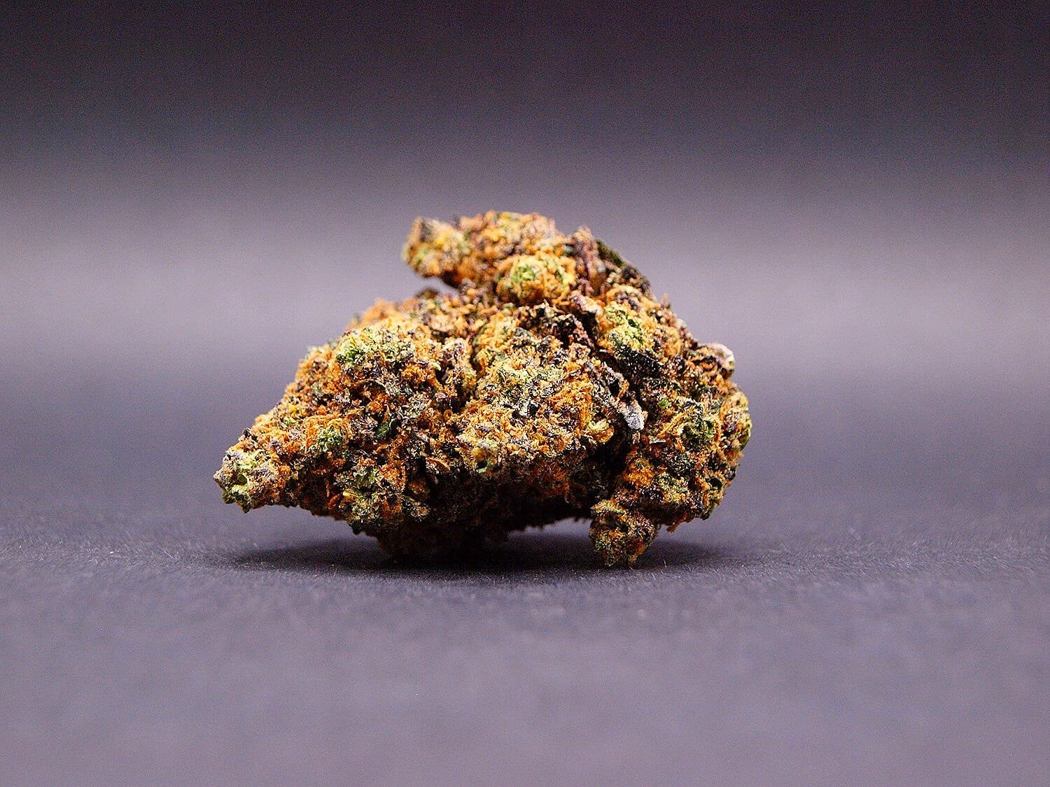 fleur CBD de la variété Purple Lemonade cultivée en Hydroponie