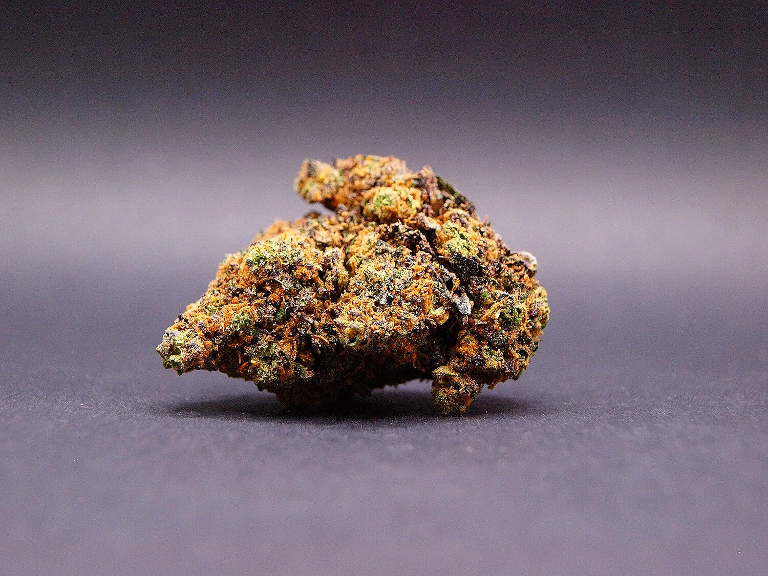 fleur CBD de la variété Purple Lemonade cultivée en Hydroponie