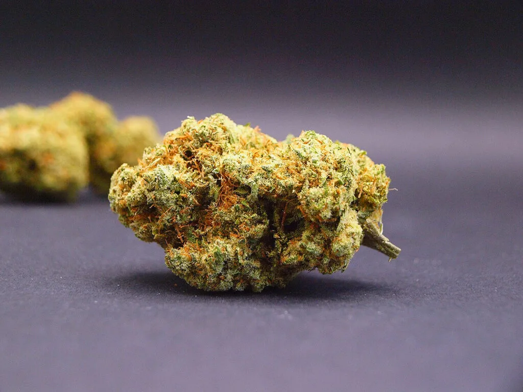 Fleur CBD de la variété Blue Dream cultivée en Indoor en suisse