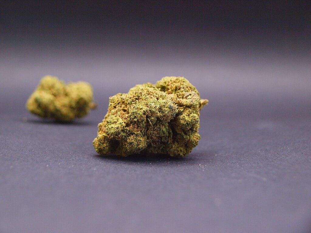 Candy Melon CBD | Glasshouse | Italie 🇮🇹