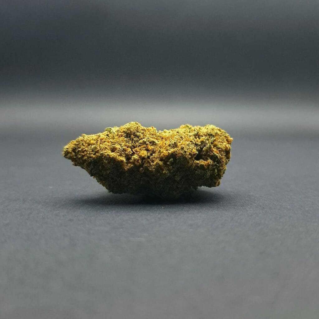 Fleur de la variété Passion Fruitz CBD cultivée en Indoor aux USA