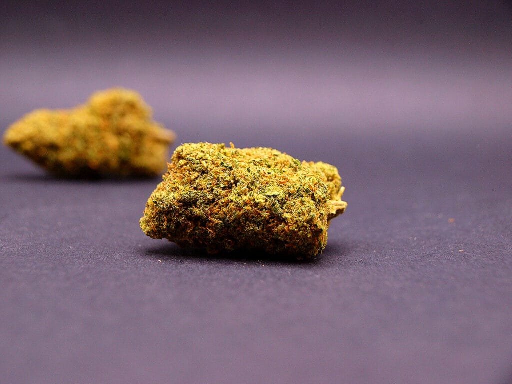 Passion Fruitz CBD | Indoor Premium | U.S.A 🇺🇸