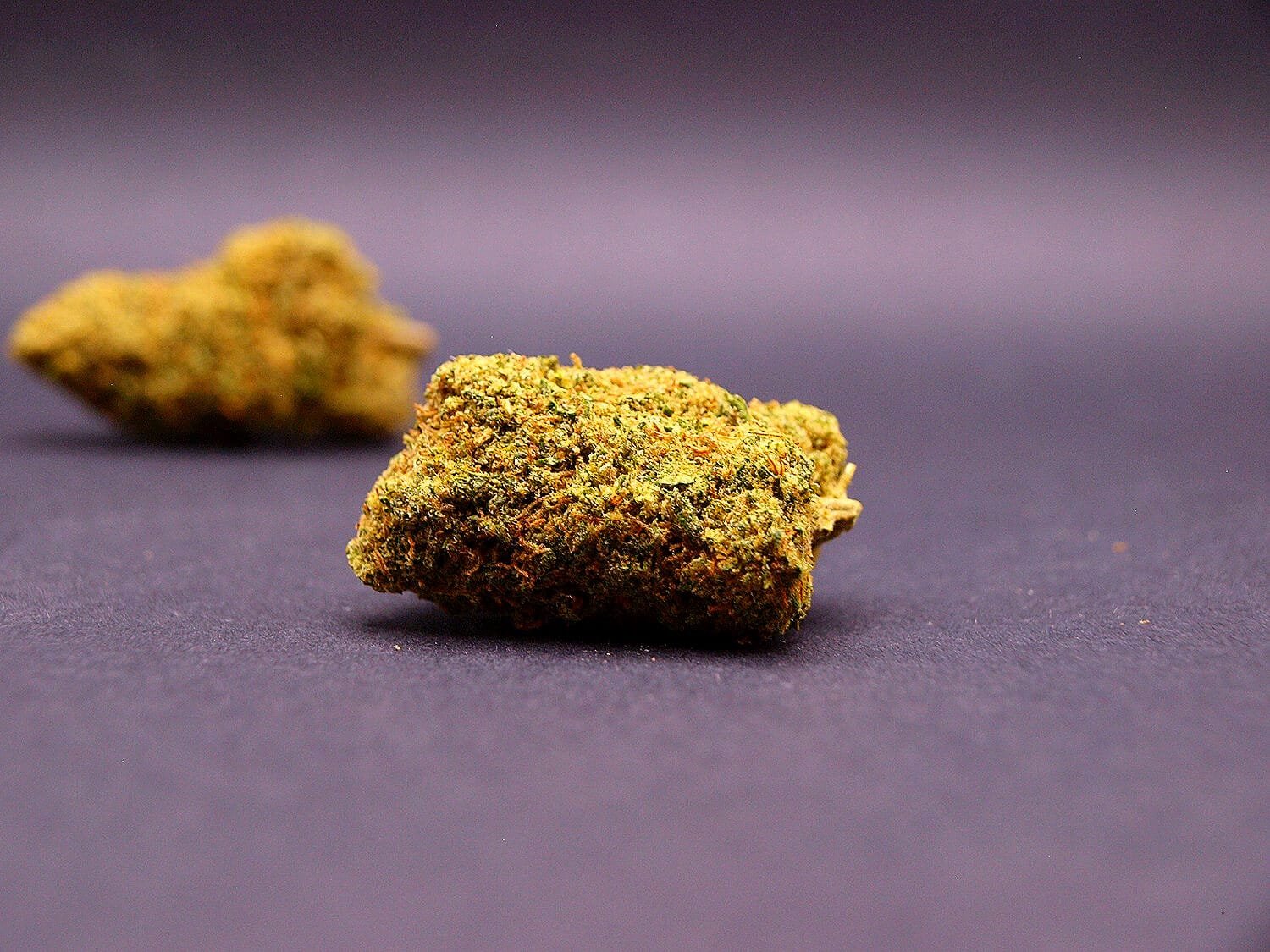 fleur cbd premium de la variété passion fruitz cbd