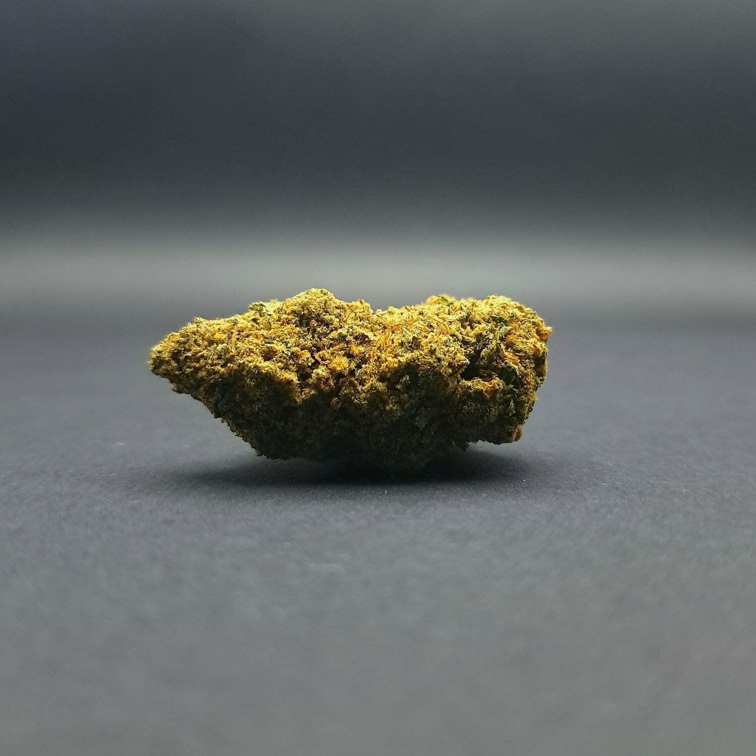 Fleur de la variété Passion Fruitz CBD cultivée en Indoor aux USA