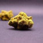 fleur cbd de la variété Runtz cultivée en Indoor en Suisse