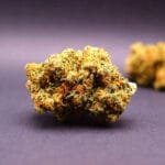 fleur cbd premium de la variété cherry pie cultivée en indoor en suisse