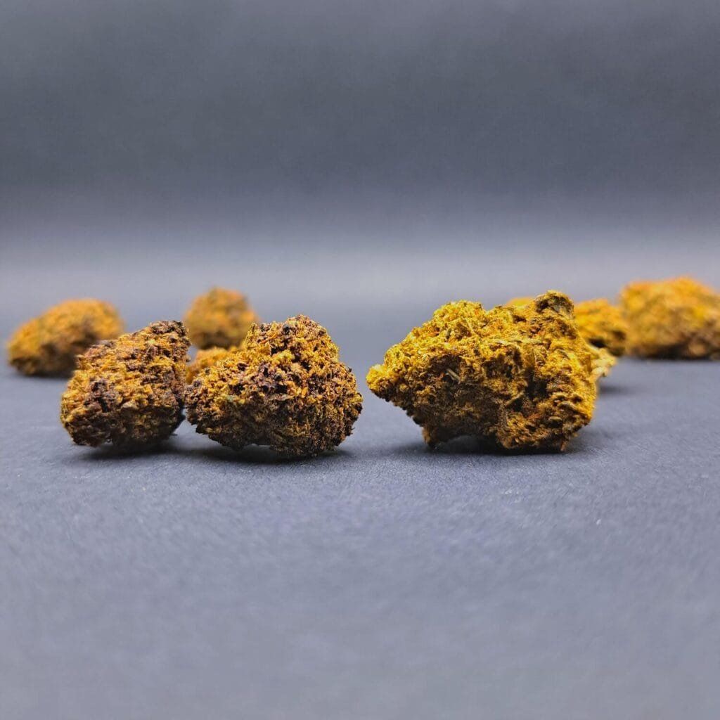 fleurs CBD de la variété Mango haze en calibre Medium Buds cultivée au USA en Hybrid Greenhouse et Indoor