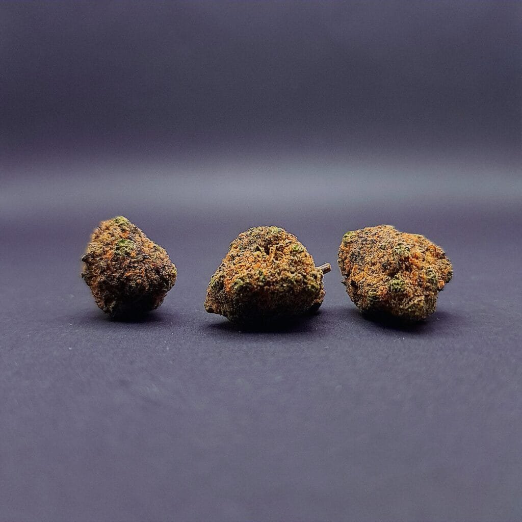 Medium Buds - Purple Gaz CBD | Indoor Premium | Suisse 🇨🇭