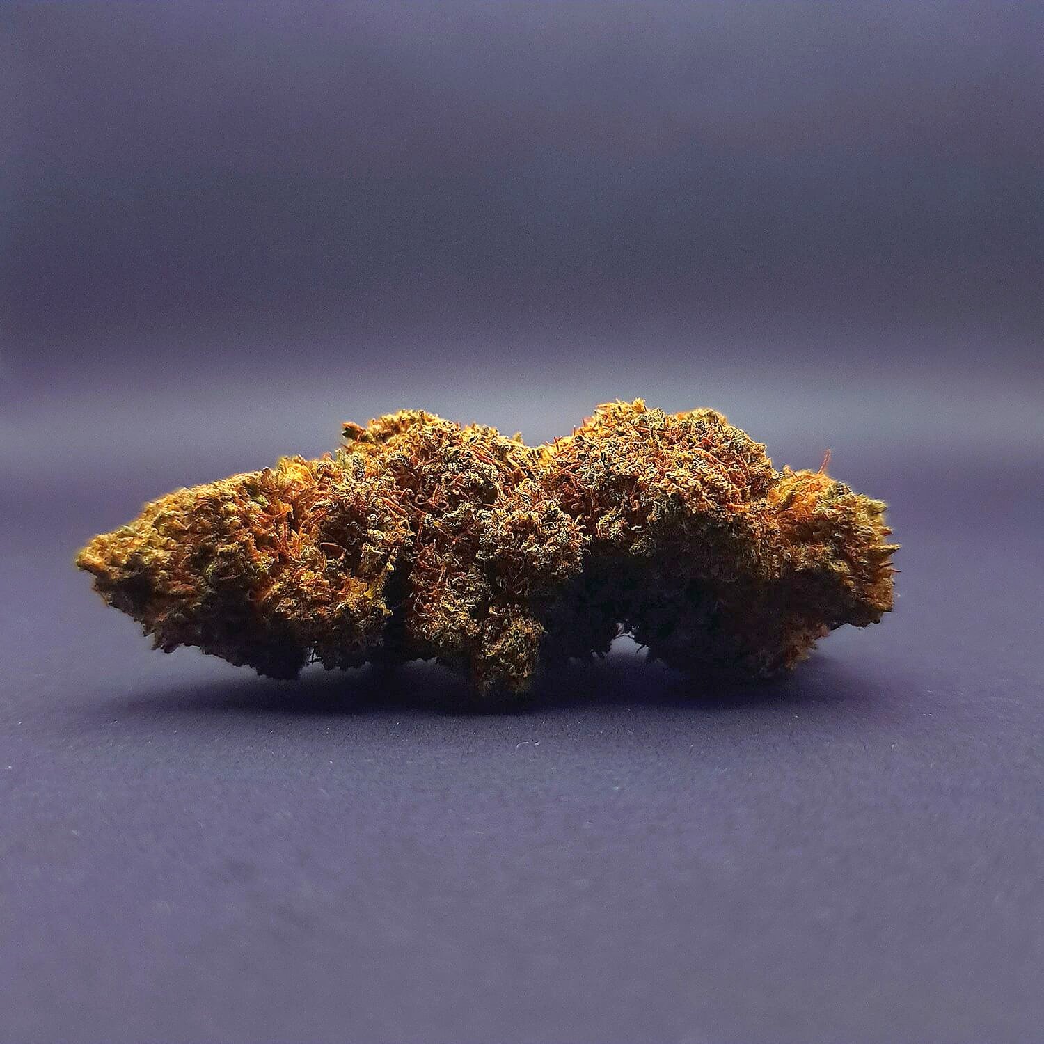 Biscotti CBD | Glasshouse | Italie 🇮🇹