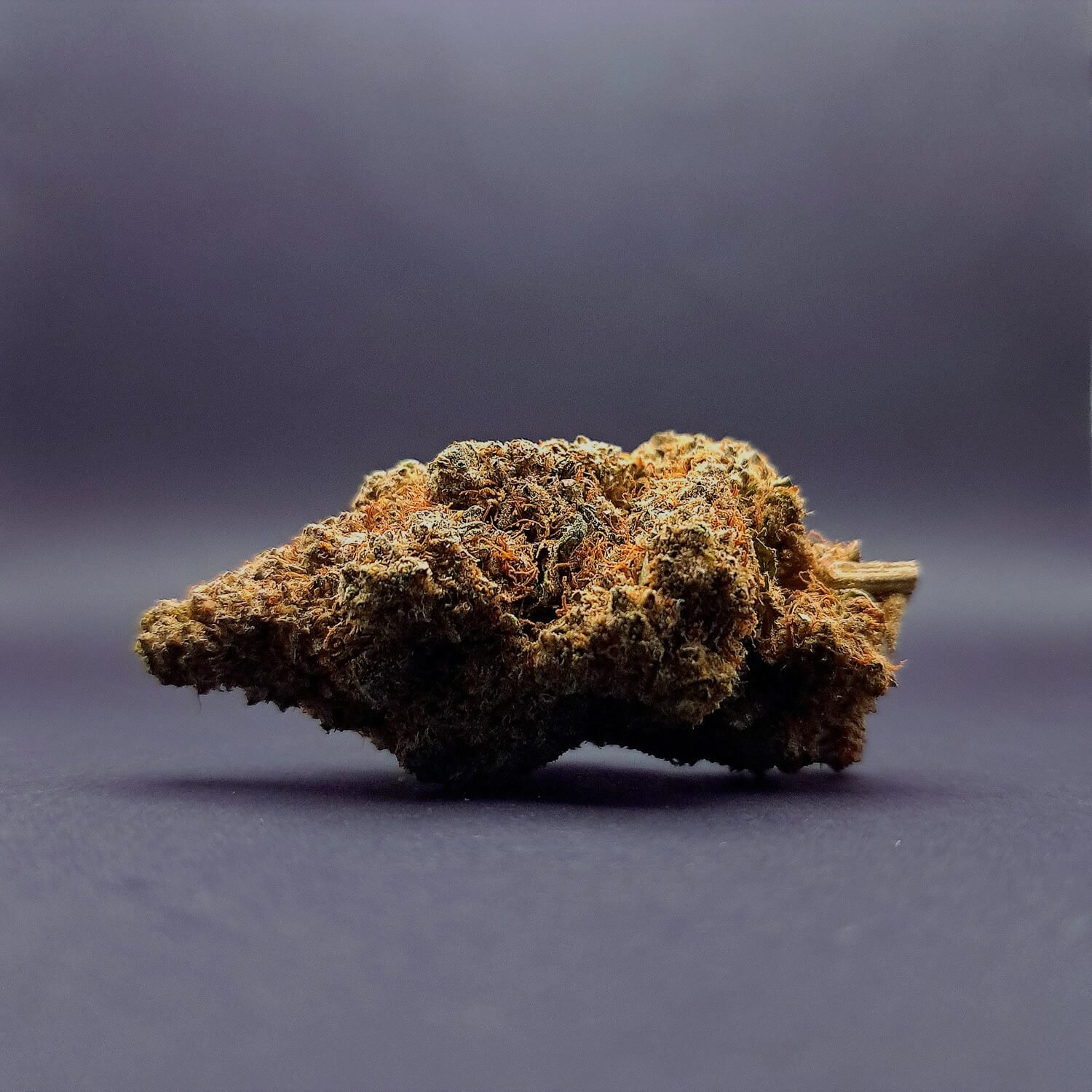 white runtz cbd